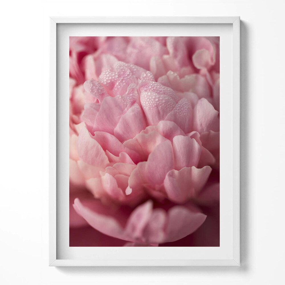 Tablou rama Petale delicate de flori