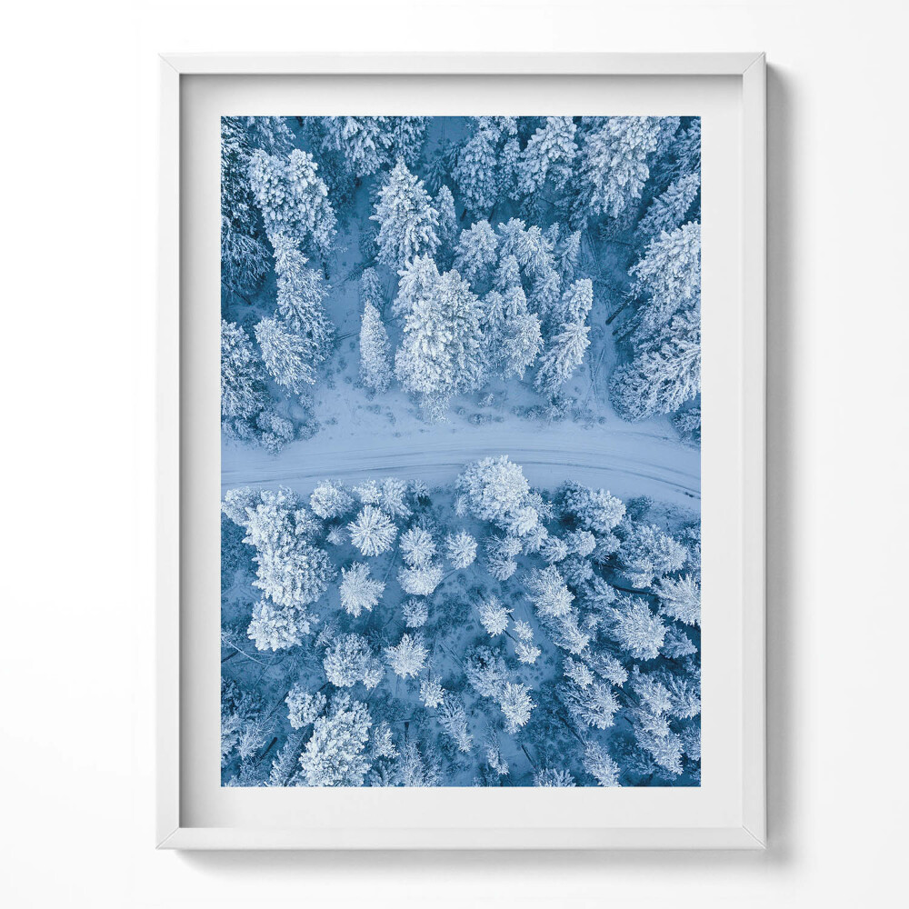 Tablou rama Pădurea din vedere dinspre o pasăre, cu dronă