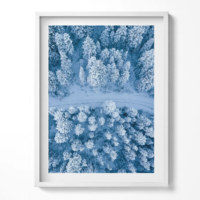 Tablou rama Pădurea din vedere dinspre o pasăre, cu dronă