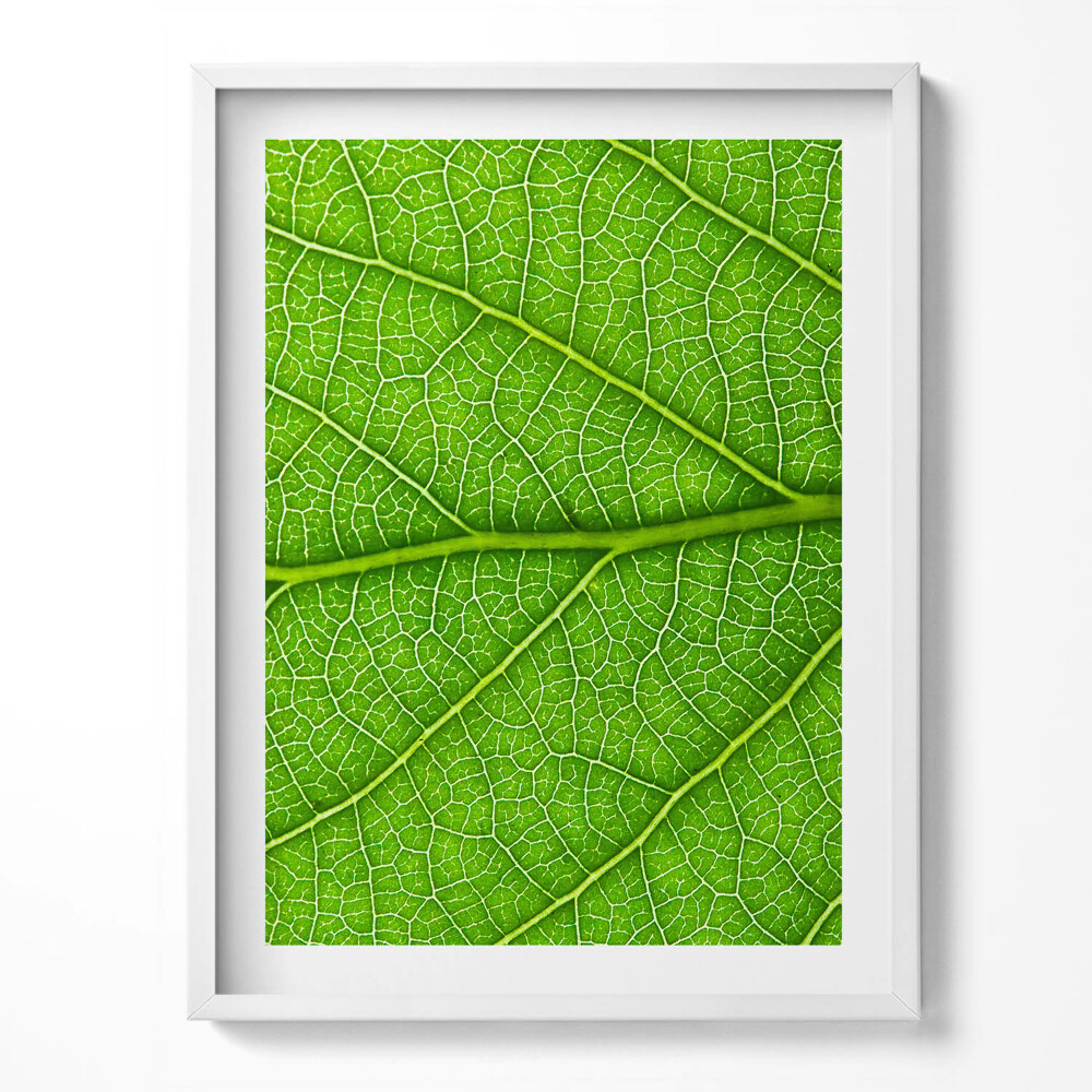 Tablou rama Venele frunzelor verzi
