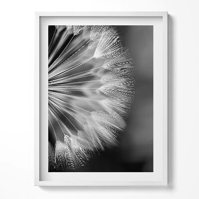 Tablou living cu rama Prim-plan alb-negru al unei păpădii