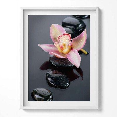 Tablou living cu rama Flori pe pietre în apă