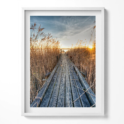 Tablou rama Un drum de lemn printre copaci