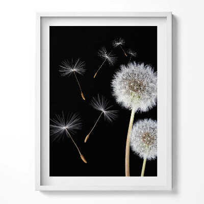 Tablou living cu rama Două păpădii