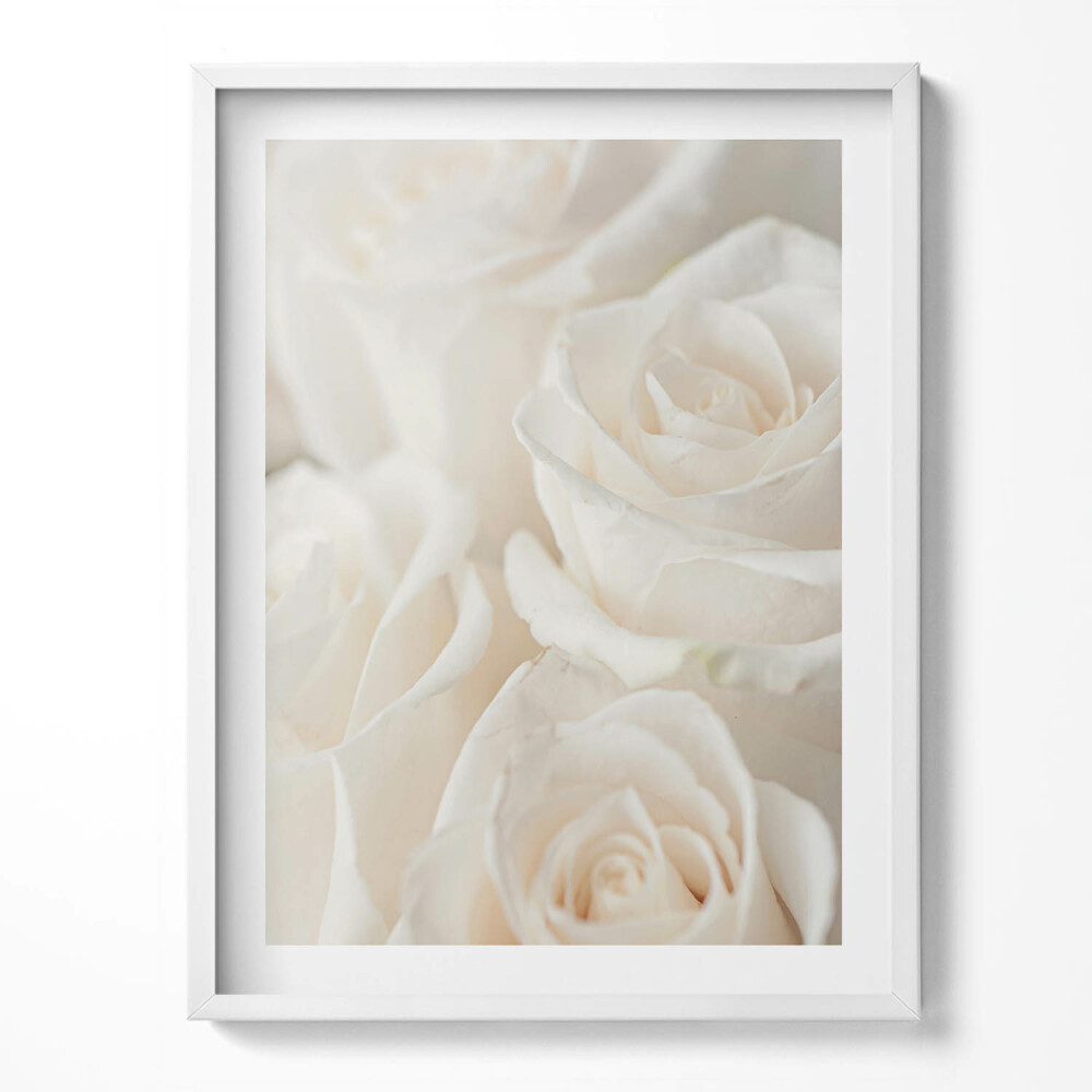 Tablou rama Alb delicat diverse