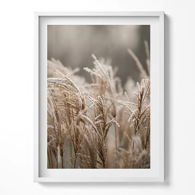 Tablou living cu rama Ierburi delicate Boho