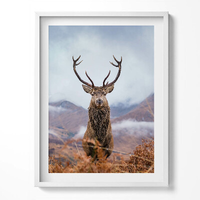 Tablou living cu rama Un cerb într-o poiană de munte