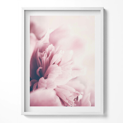 Tablou living cu rama Prim-plan al petalelor de bujor