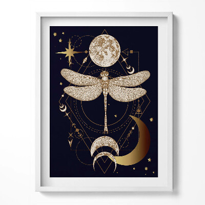 Tablou rama O compoziție magică de spațiu și libelulă