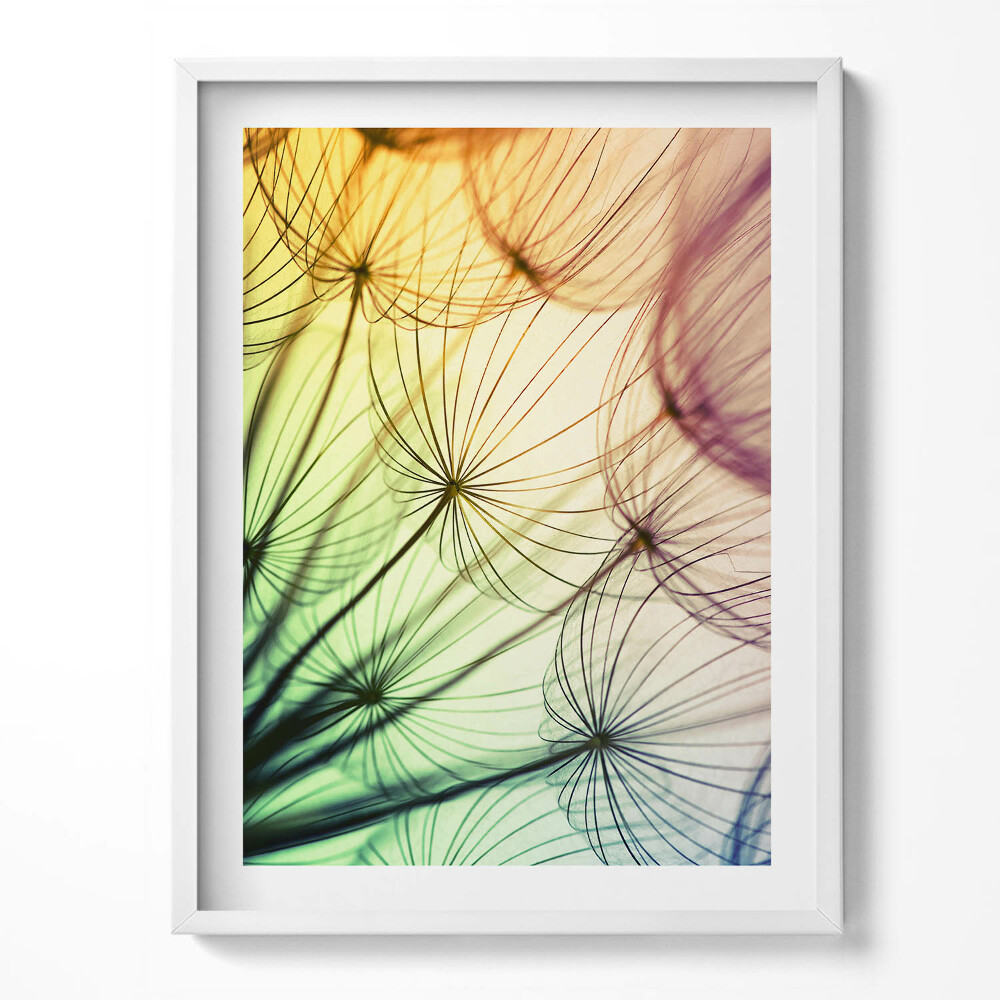 Tablou living cu rama Polen delicat de păpădie