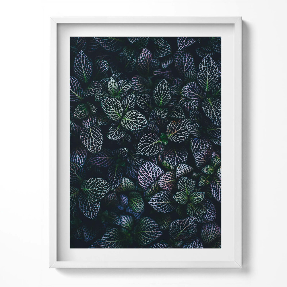 Tablou living cu rama Frunze sălbatice întunecate