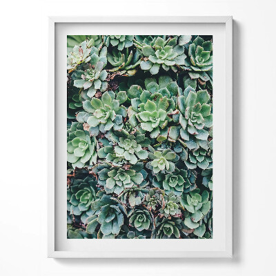 Tablou rama Plante suculente verzi
