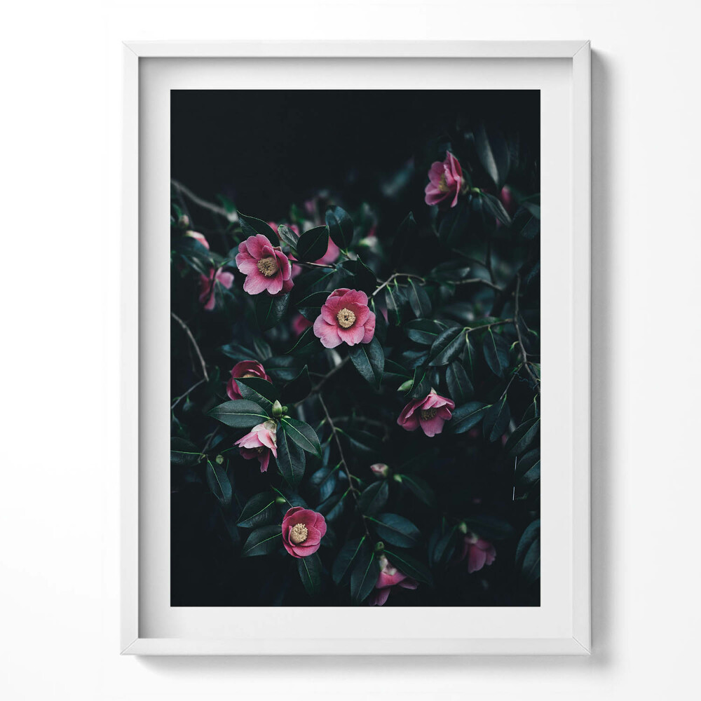 Tablou rama Flori roz vintage