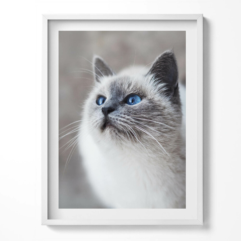 Tablou rama Un peisaj liniștit al unui lac de iarnă