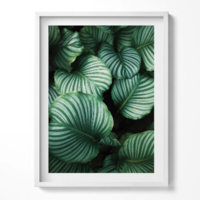 Tablou rama Frunze mari și verzi