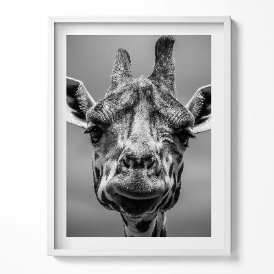 Tablou rama Cap de girafă alb-negru