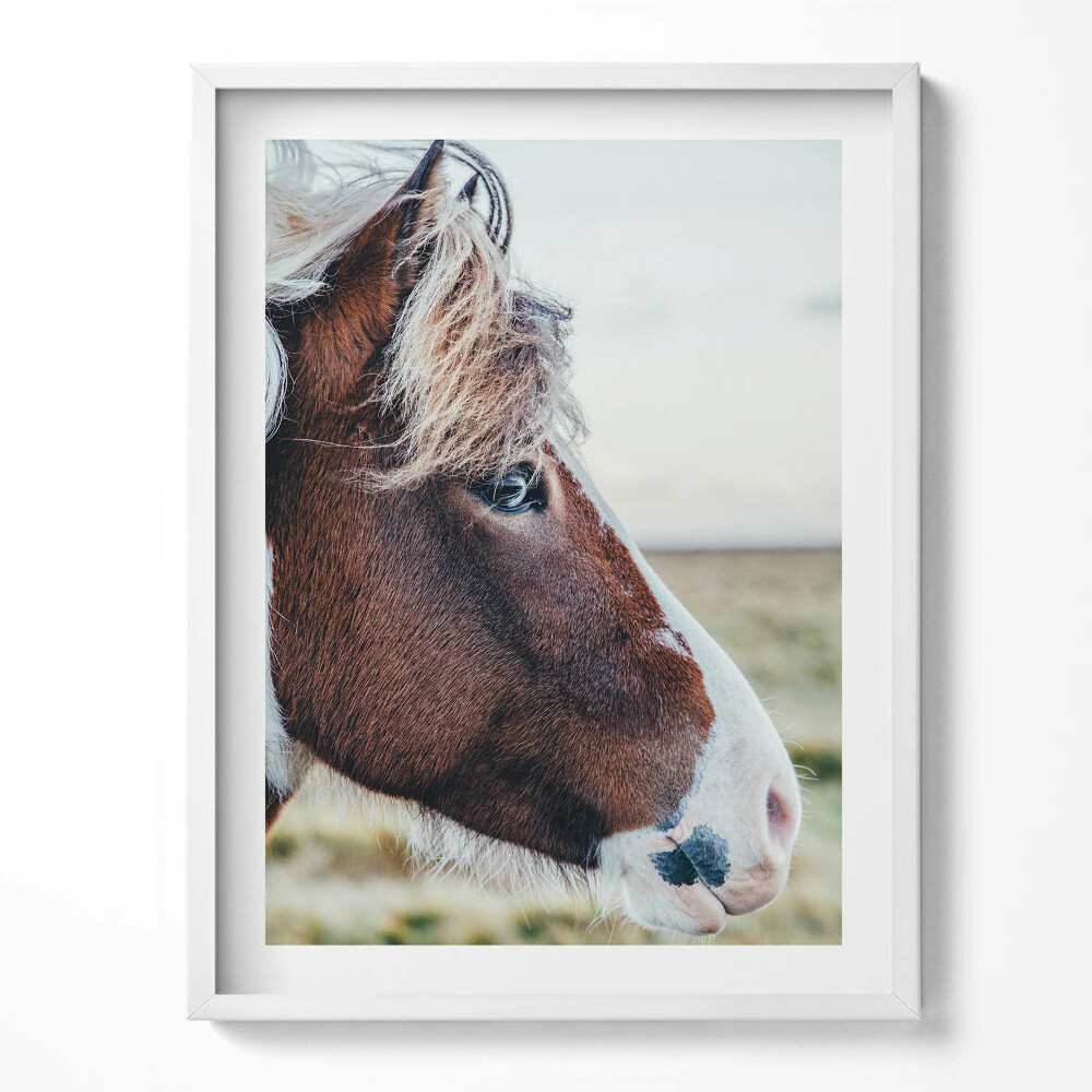 Tablou living cu rama Prim-plan al unui cal maro cu coamă
