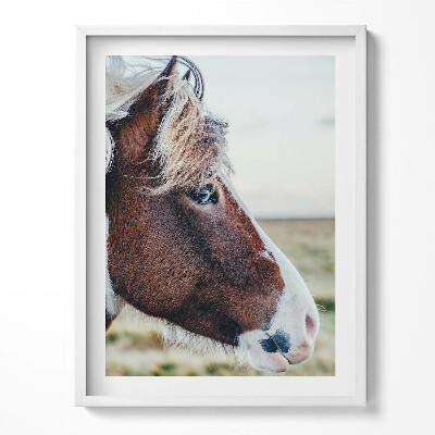 Tablou living cu rama Prim-plan al unui cal maro cu coamă