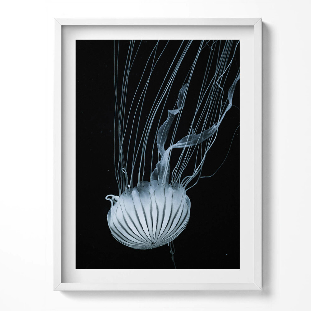 Tablou living cu rama Meduze pe fundal negru
