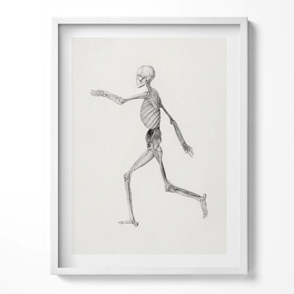 Tablou rama Un desen al unui schelet