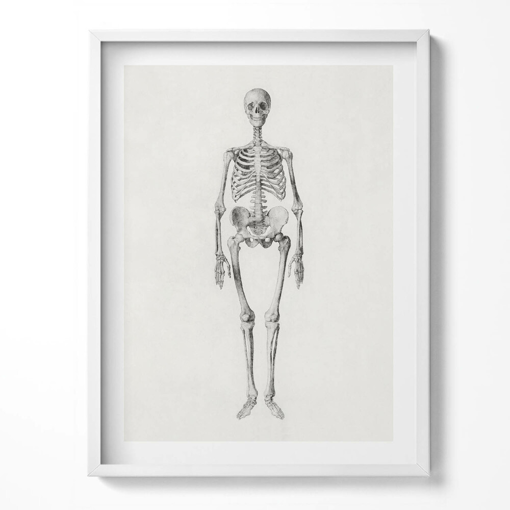 Tablou living cu rama Schiță ilustrativă a unui schelet