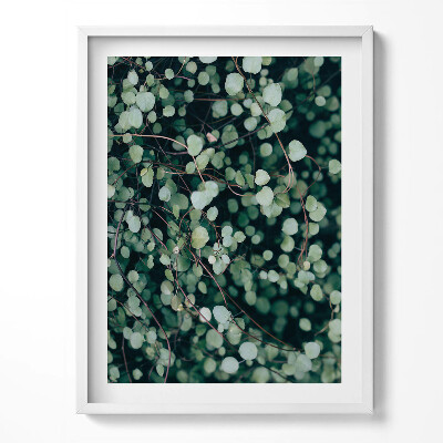 Tablou living cu rama Frunzele mici ale plantei