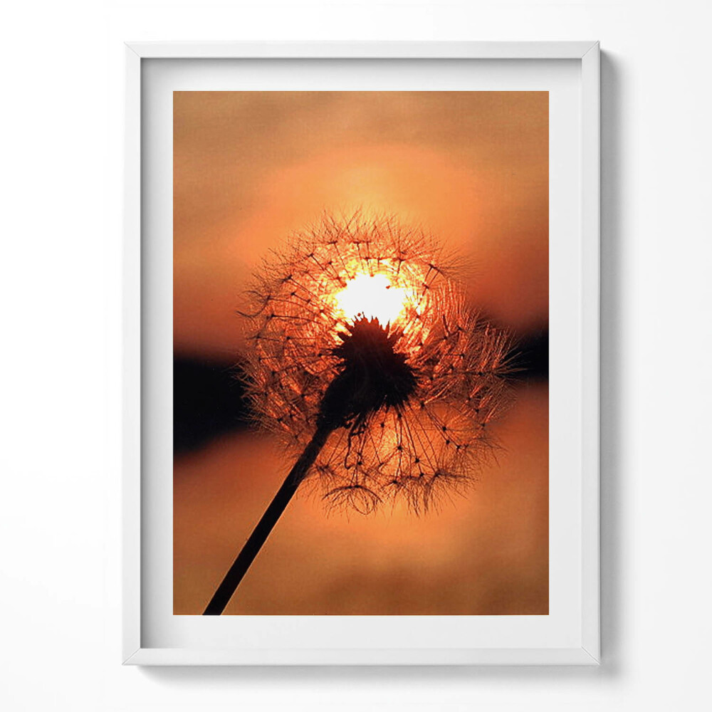 Tablou rama Păpădie la apus