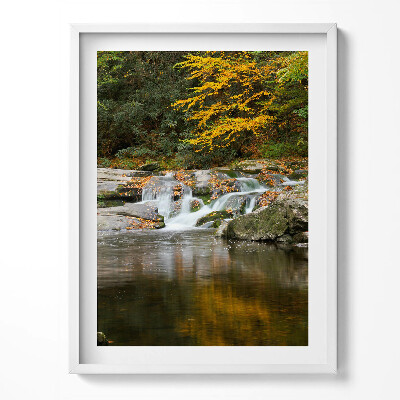 Tablou living cu rama Peisaj verde al unui pârâu de pădure