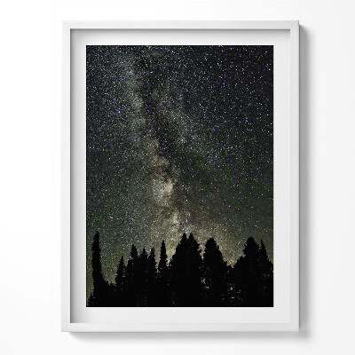 Tablou rama Cer înstelat peste pădure