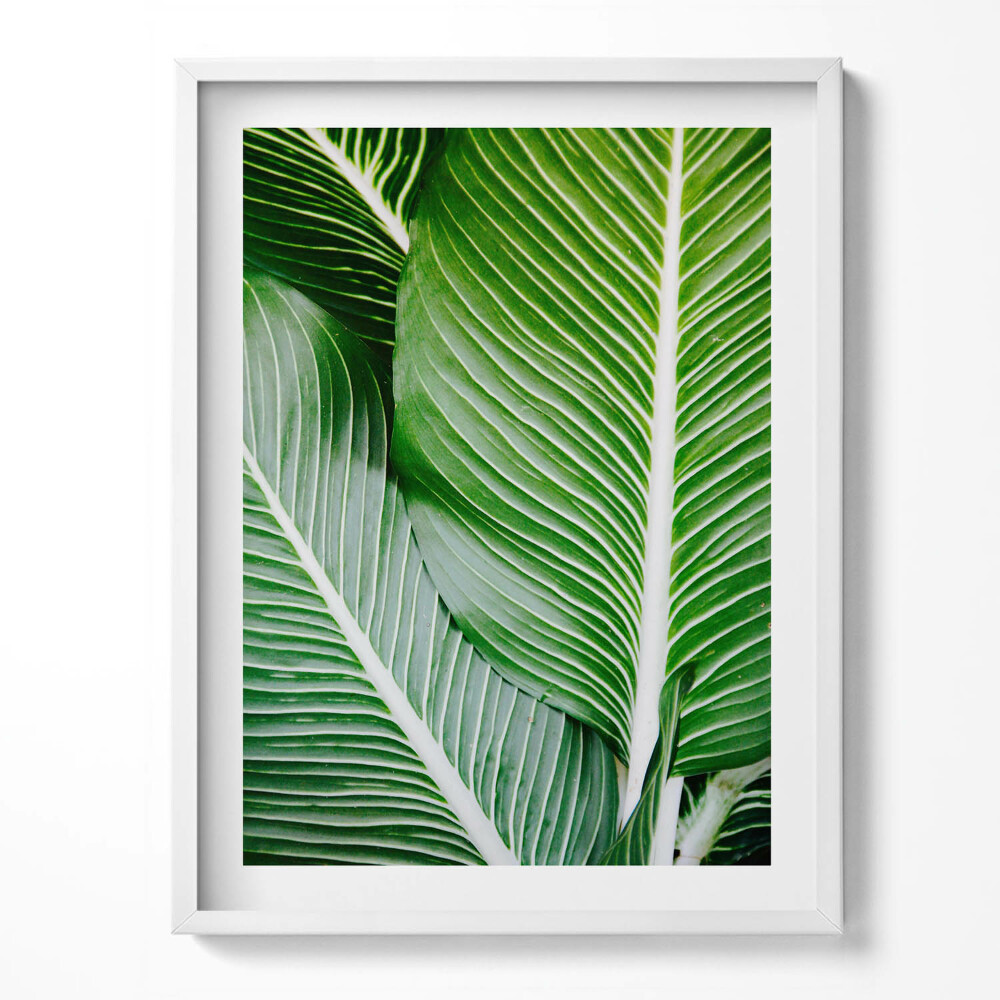 Tablou rama Frunze verzi exotice