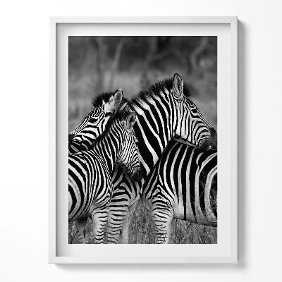Tablou living cu rama Zebre care se îmbrățișează