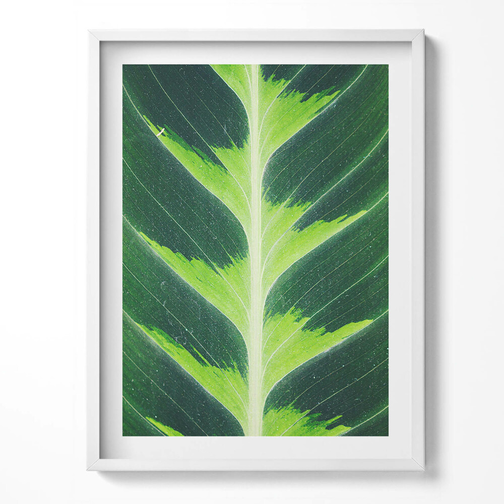 Tablou living cu rama Textura și nervurile frunzelor