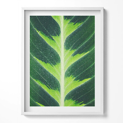 Tablou living cu rama Textura și nervurile frunzelor