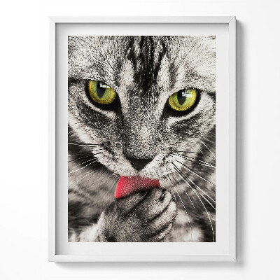 Tablou rama Ochi de pisică gri