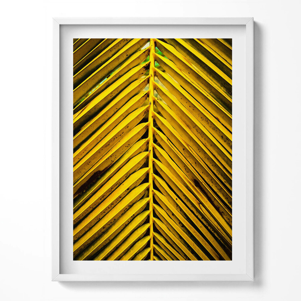 Tablou rama Frunzele aurii ale plantei