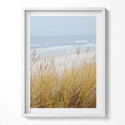 Tablou living cu rama Peisaj de plajă și iarbă de pe malul mării