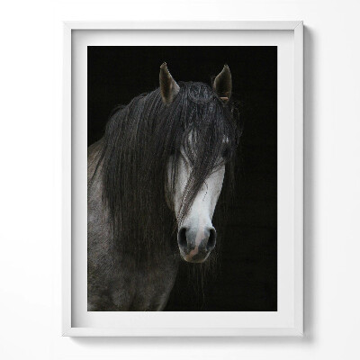 Tablou living cu rama Cap de cal gri