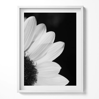 Tablou living cu rama Petale de margarete în alb și negru