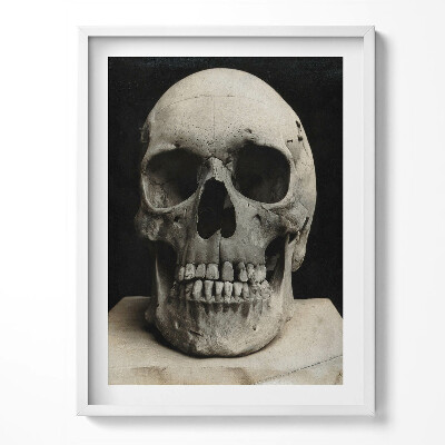 Tablou living cu rama Schelet de craniu uman