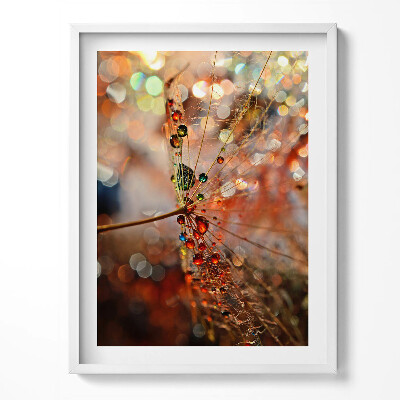 Tablou living cu rama Păpădie și rouă