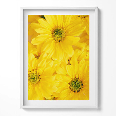 Tablou living cu rama Petale de flori