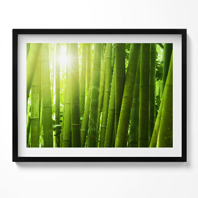 Tablou living cu rama Tulpini verzi de bambus