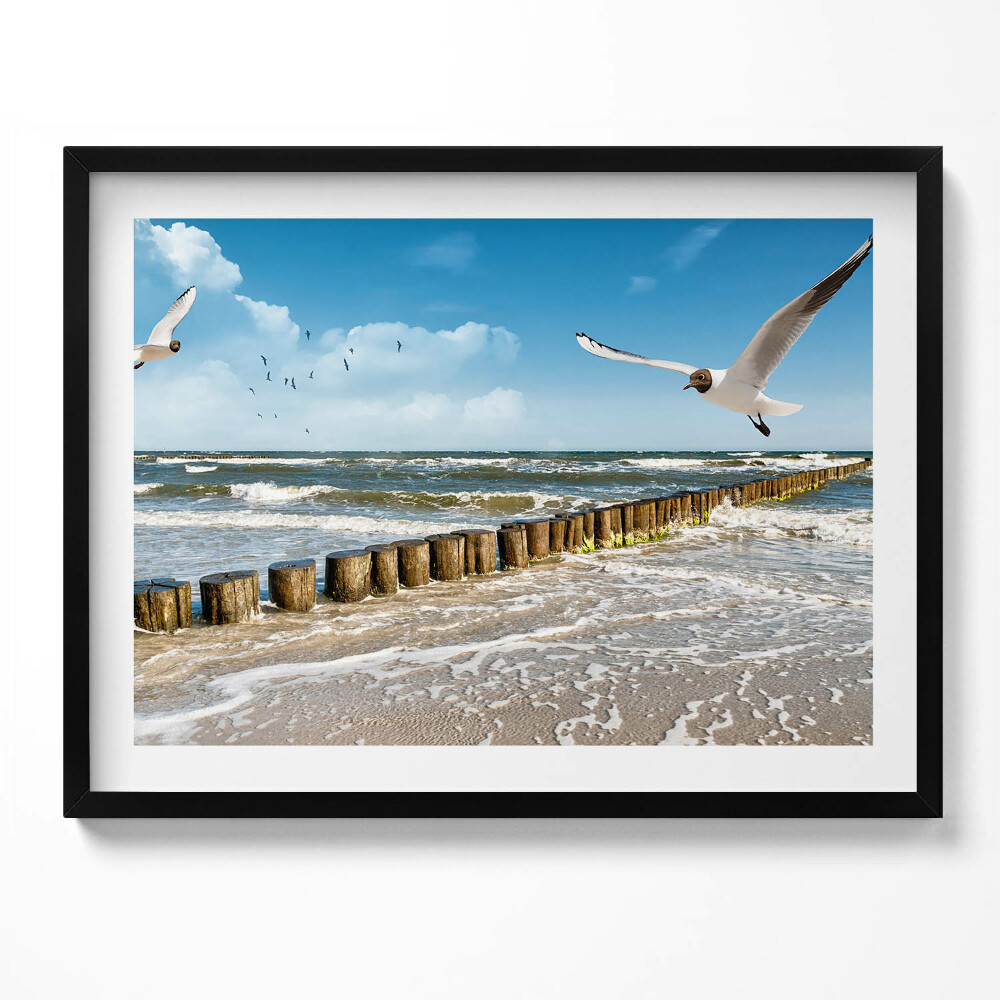 Tablou rama O pasăre peste mare