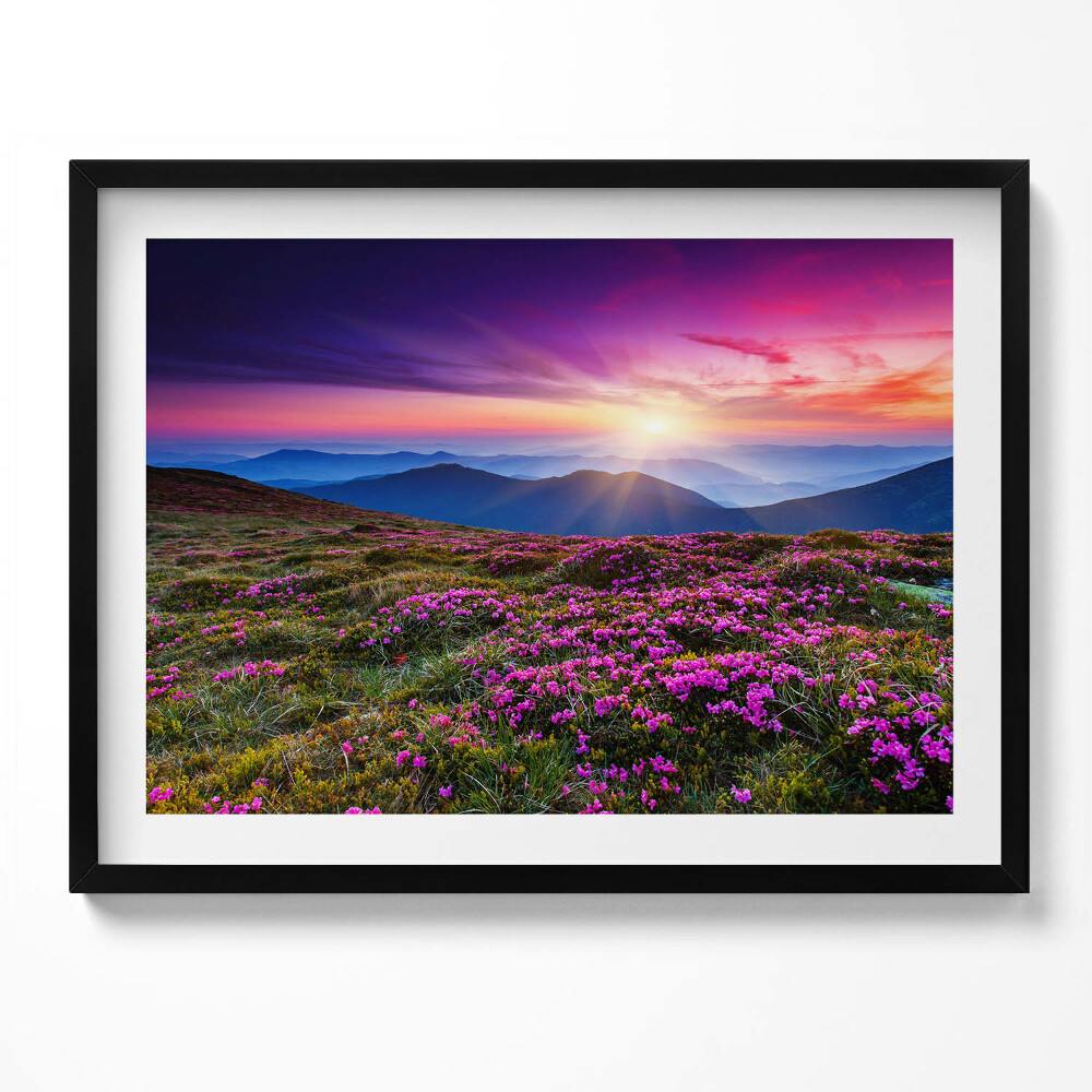 Tablou living cu rama Flori de răsărit