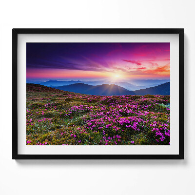 Tablou living cu rama Flori de răsărit