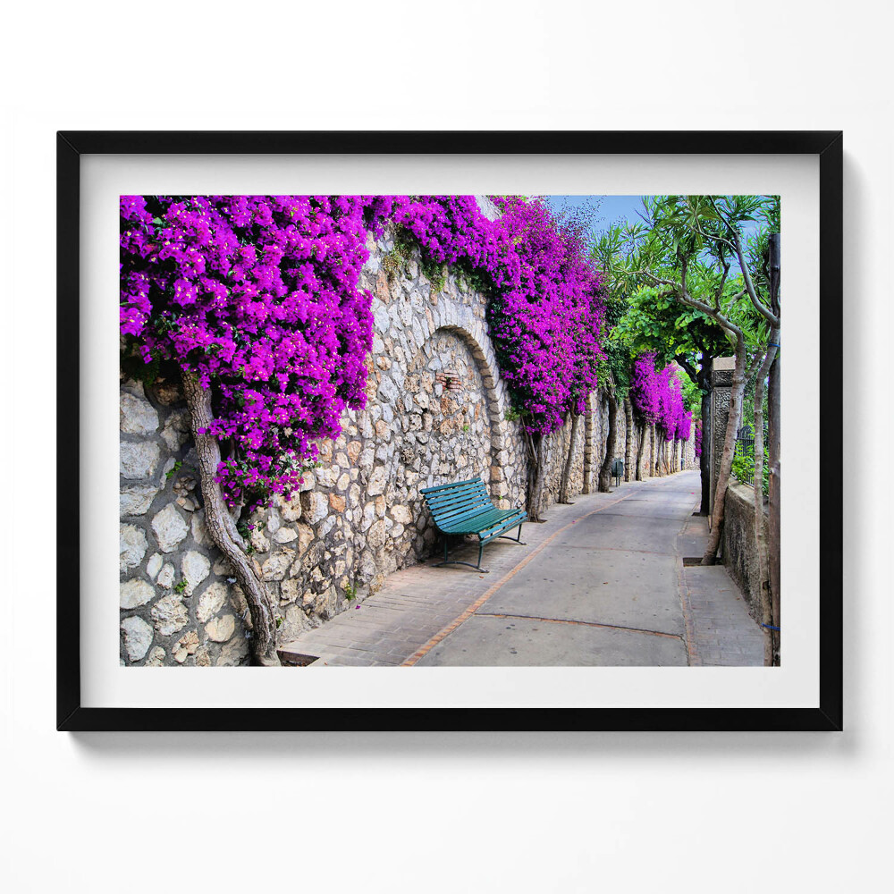 Tablou rama Calea cu flori în Capri, Italia