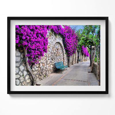 Tablou rama Calea cu flori în Capri, Italia