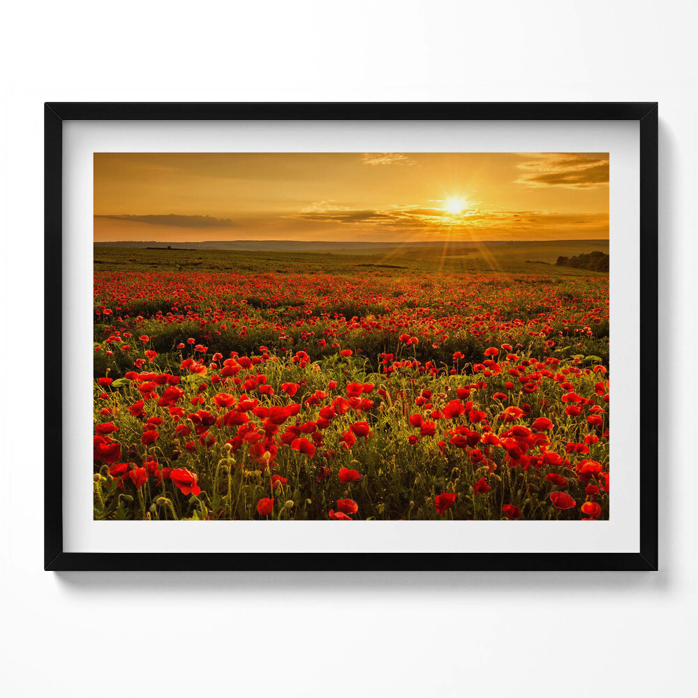 Tablou living cu rama Peisaj al unei pajiști cu flori de mac