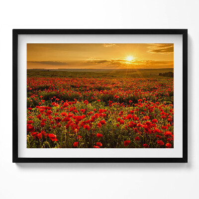 Tablou living cu rama Peisaj al unei pajiști cu flori de mac