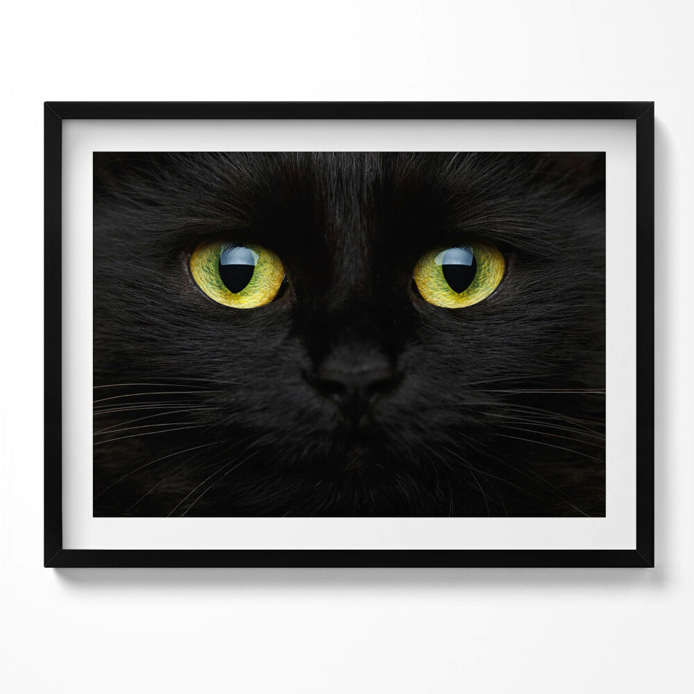 Tablou rama Ochi de pisică animale